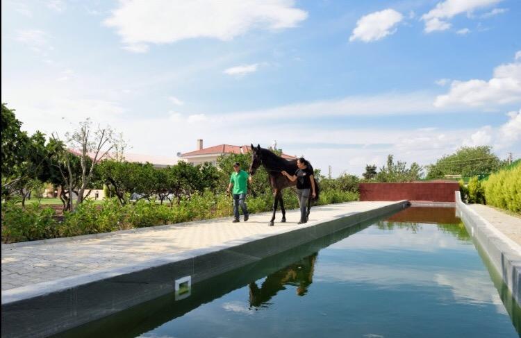 B. Equine Range Hotel Narlıdere Kültér fotó