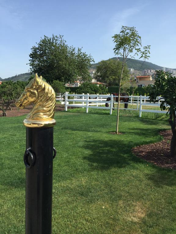 B. Equine Range Hotel Narlıdere Kültér fotó